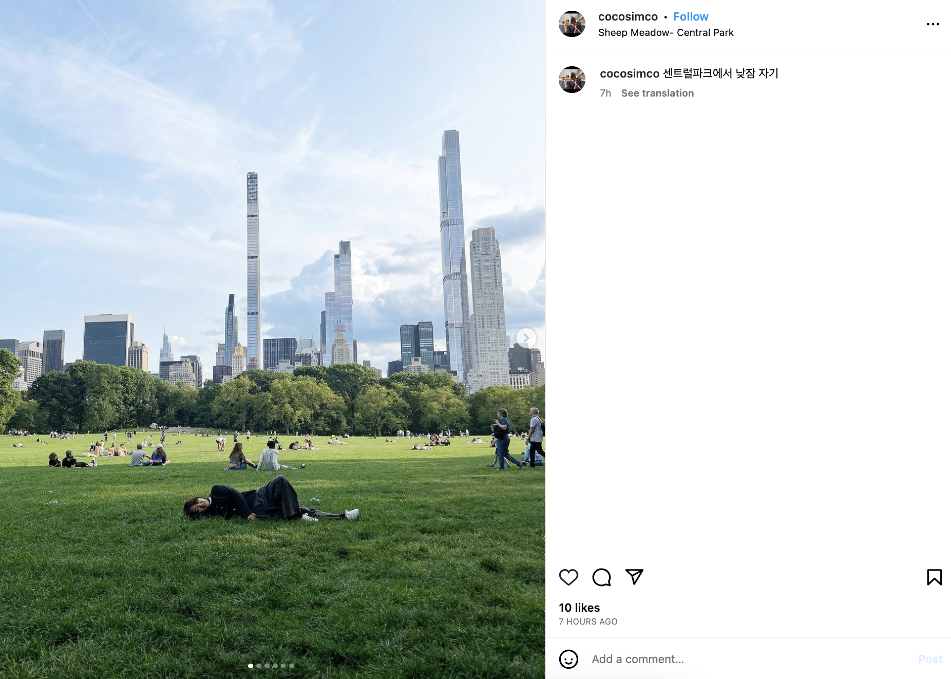 Sheep Meadow by @cocosimco